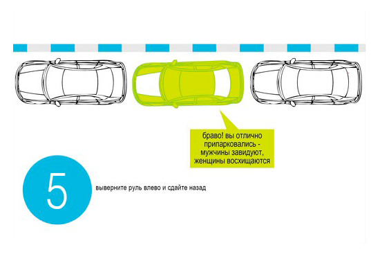 Как правильно парковаться задним ходом (схема-инструкция)