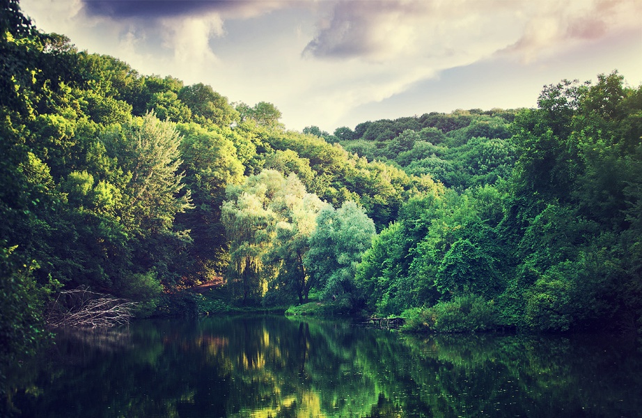 Kitaevo - Places in Kiev where there is good fishing Китаево - Топ мест для хорошей рыбалки в Киеве