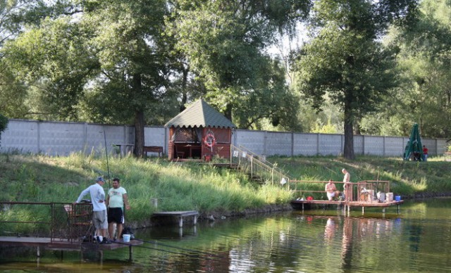 Ponds «Sturgeon» fishing »- Places in Kiev, where a good fishing Пруды «Осетровая» рыбалка» - Топ мест для хорошей рыбалки в Киеве