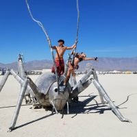 Лучшие снимки и видео Burning Man 2016