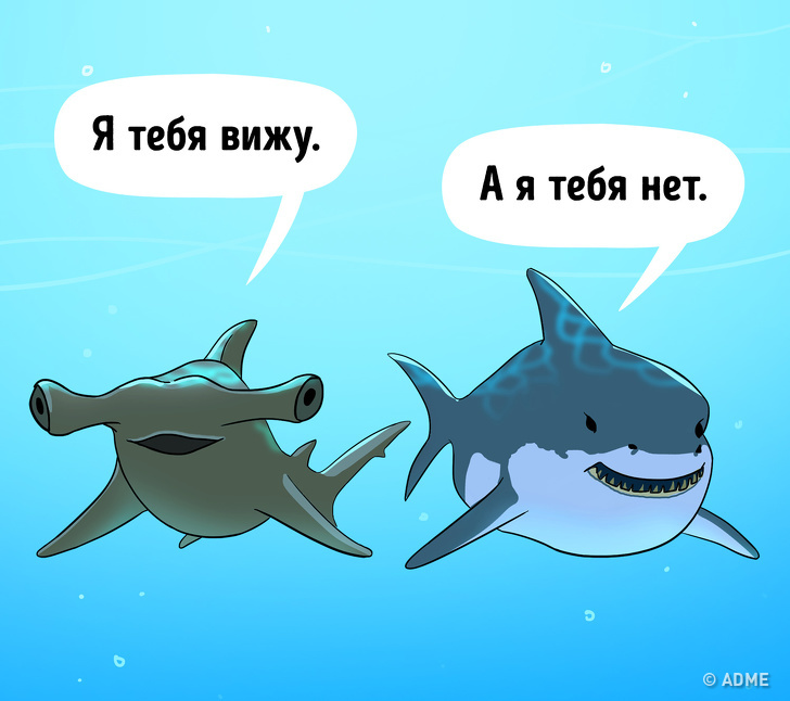 Children's questions that even adults don't know Ответы на детские вопросы