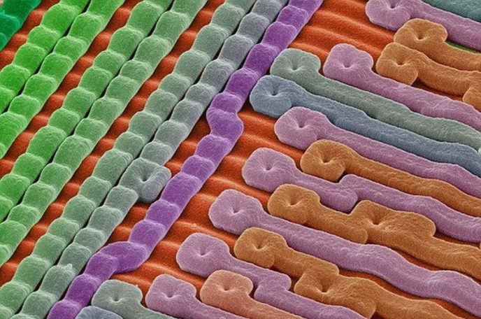 The surface of a silicon microchip - Ordinary things under the microscope: what do they hide? Поверхность кремниевого микрочипа - Обычные вещи под микроскопом