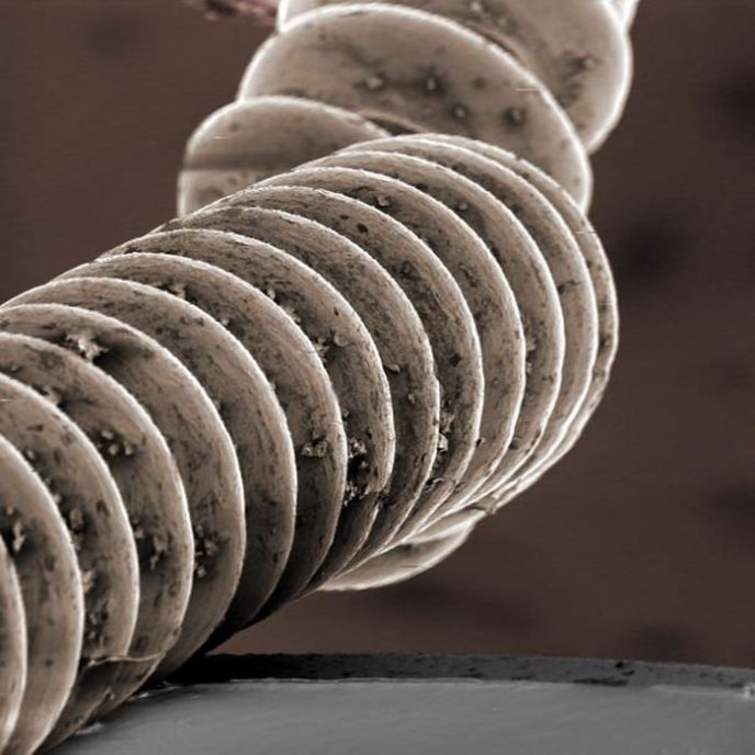 - Ordinary things under the microscope: what do they hide? - Обычные вещи под микроскопом