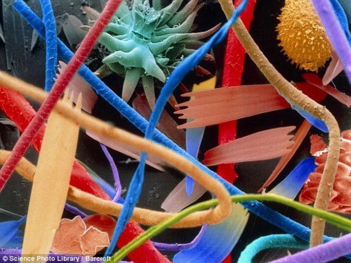 Household dust - Ordinary things under the microscope: what do they hide? Бытовая пыль - Обычные вещи под микроскопом