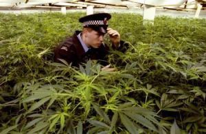 Methods of smoking marijuana