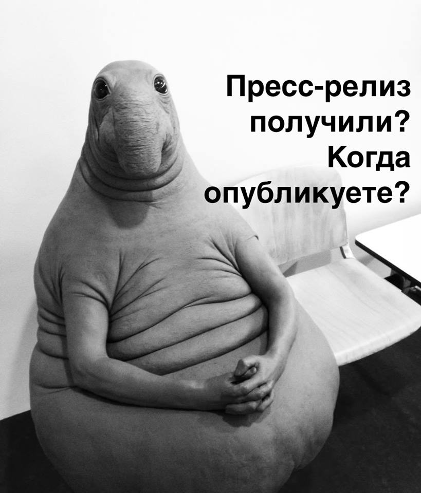 Ждун — самый милый мем