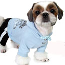 Clothes for dogs