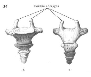 Picture 1