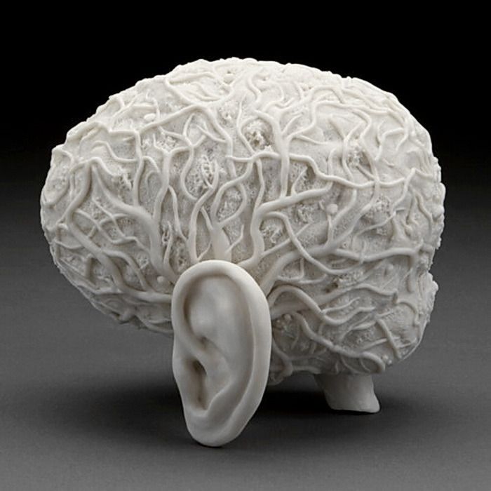 Poison that lives in your brain for 3 years Мозг, гормоны, возможности
