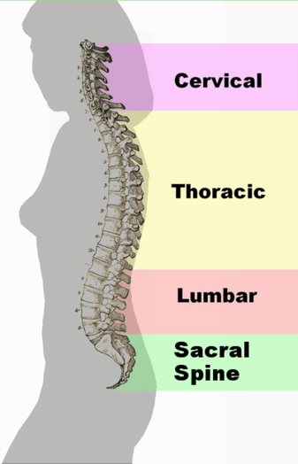 Exercises for cervical osteochondrosis from which 90% of the able-bodied population is suffering Упражнения при шейном остеохондрозе