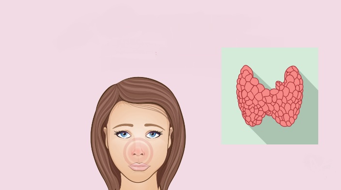 Nose - Changes in the face are signs of unwanted body processes. Нос - Изменения на лице