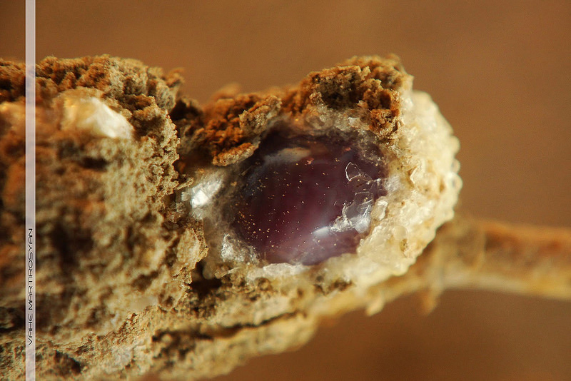Coca Cola under the microscope. Facts that will put an end to the question: drink or not drink Coca Cola под микроскопом