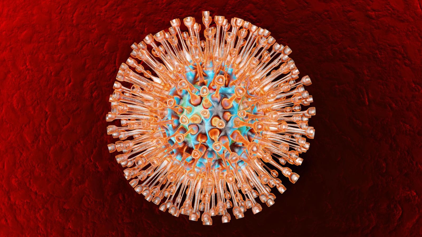 A Dozen Amazing Facts About Viruses Удивительные факты о вирусах