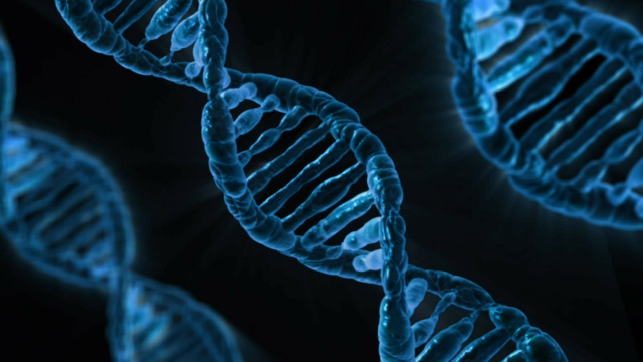A Dozen Amazing Facts About Viruses Удивительные факты о вирусах