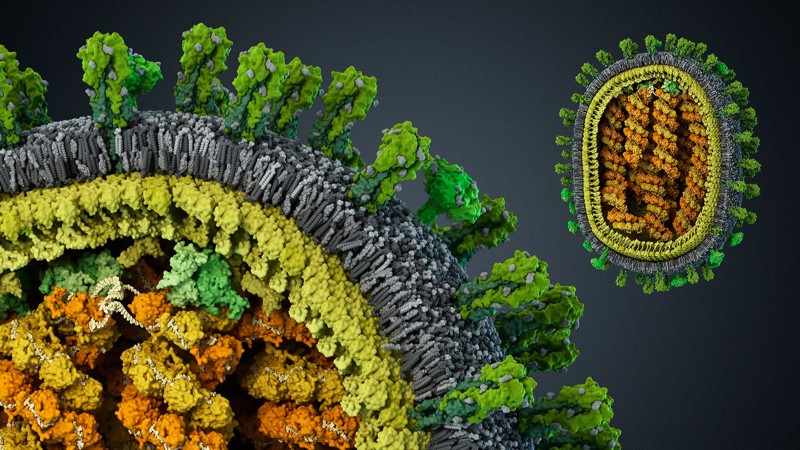 A Dozen Amazing Facts About Viruses Удивительные факты о вирусах