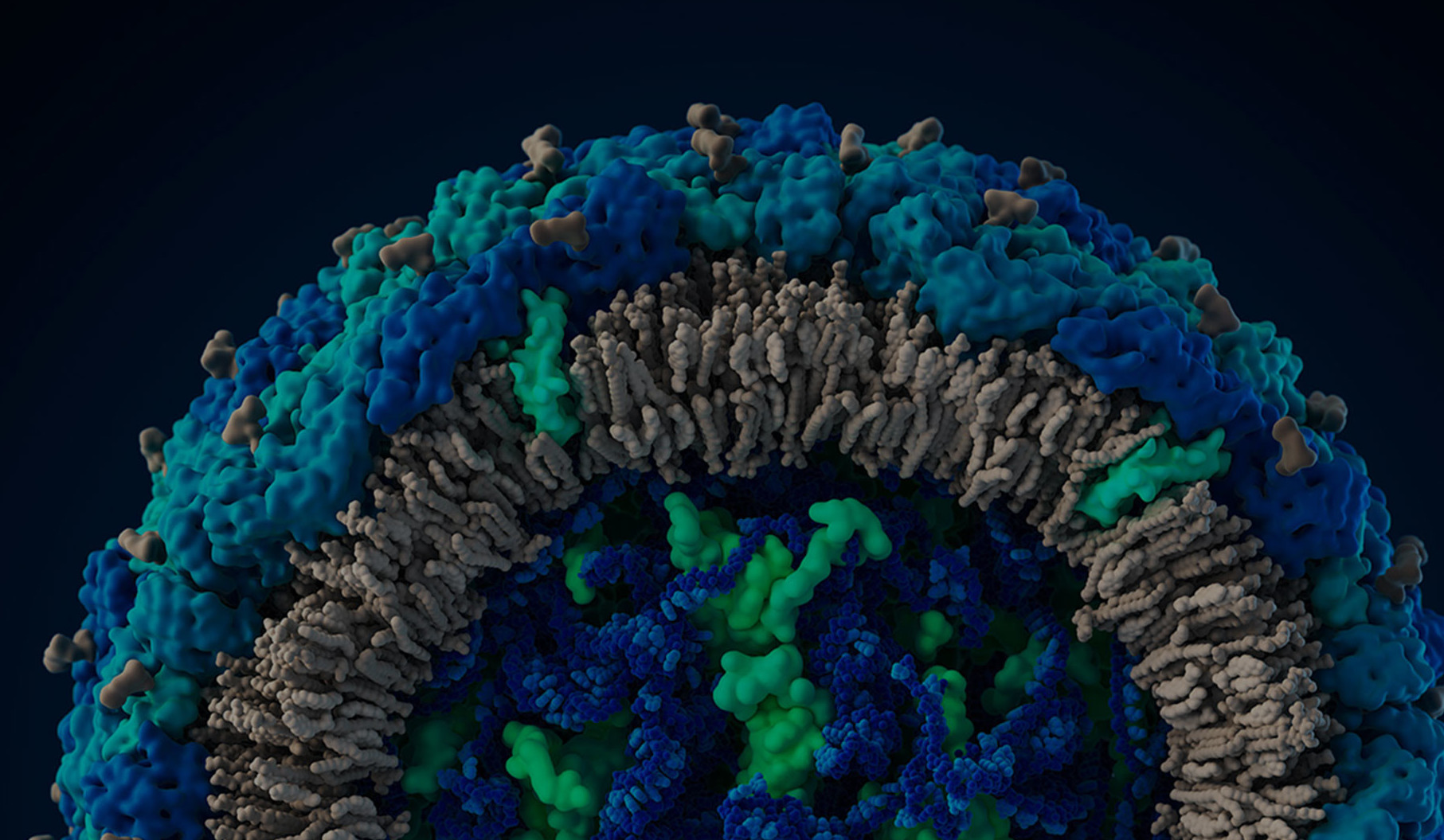A Dozen Amazing Facts About Viruses Удивительные факты о вирусах