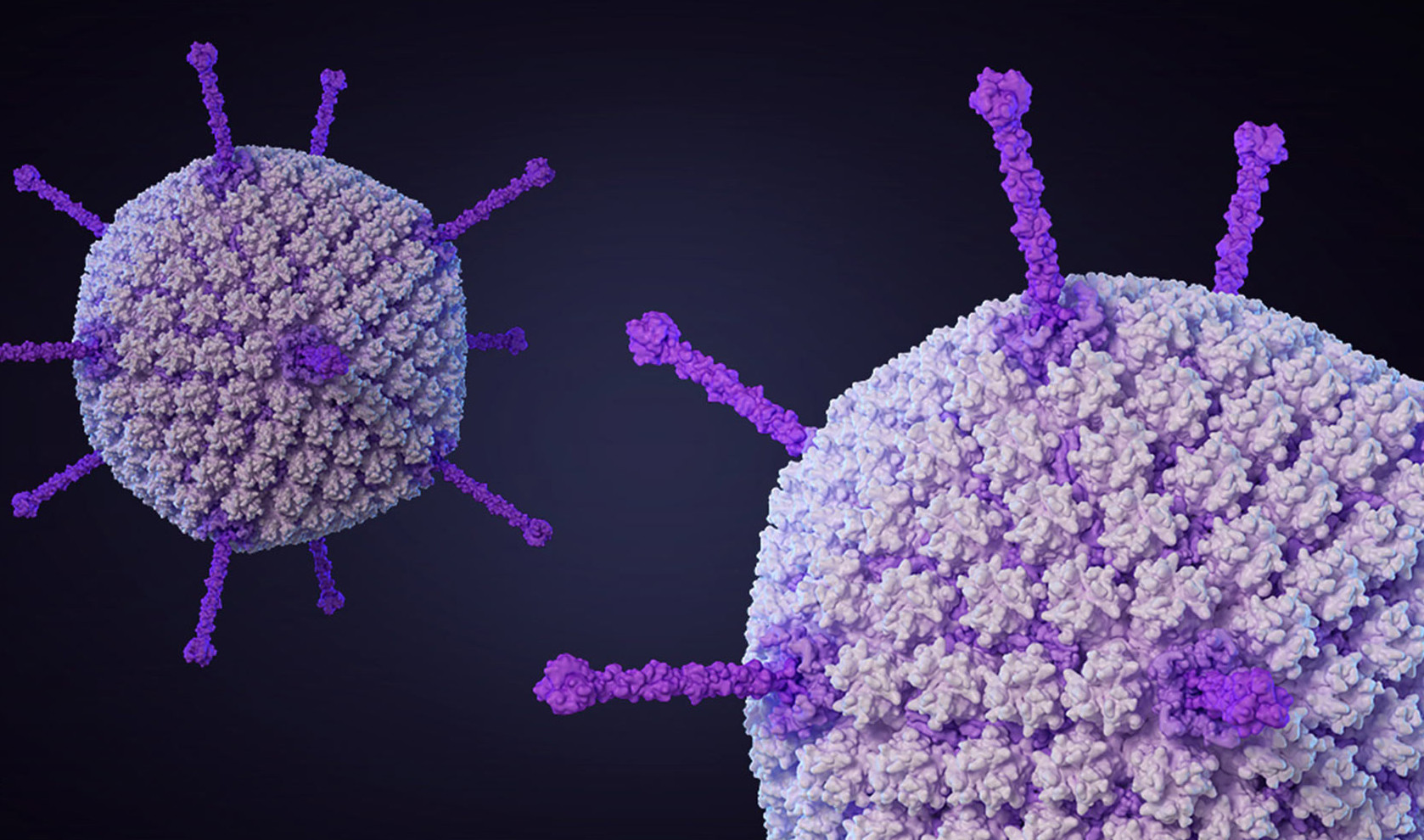 A Dozen Amazing Facts About Viruses Удивительные факты о вирусах