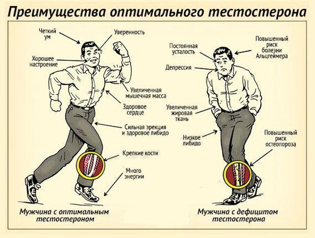 Как повысить уровень тестостерона без стероидов