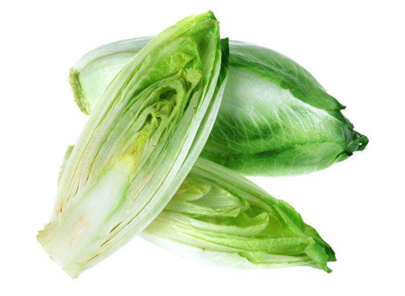 Цикорий салатный - Cалат и листовая зелень