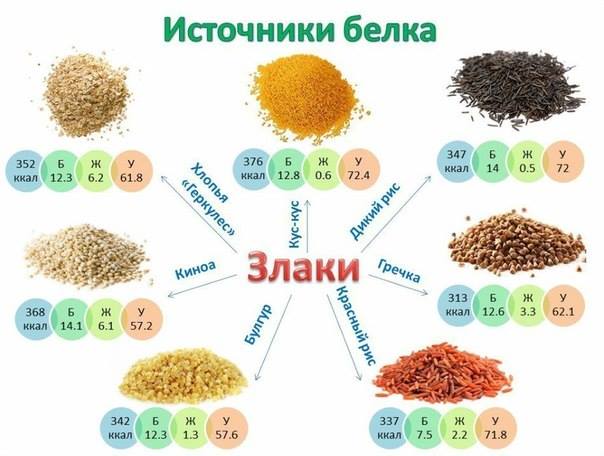 Источники протеина (белка)