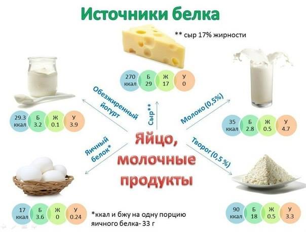 Источники протеина (белка)