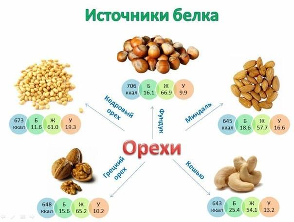 Источники протеина (белка)