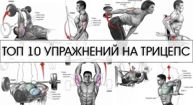 Exercises for building powerful triceps Упражнения для трицепсов