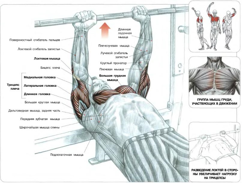 Press lying narrow grip - Exercises to build powerful triceps Жим лежа узким хватом - Упражнения для трицепсов