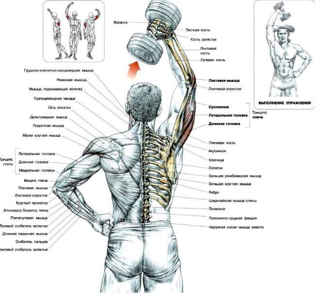 Extension of hands with a dumbbell from behind the head - Exercises for building powerful triceps Разгибание рук с гантелью из-за головы - Упражнения для трицепсов