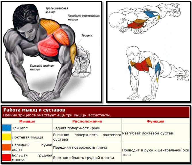 Squeezing from the floor with a narrow grip - Exercises for building powerful triceps Отжимания от пола узким хватом - Упражнения для трицепсов