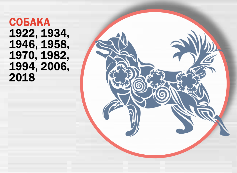 Dog - East horoscope 2020 Собака - Восточный гороскоп 2020. Что ждет украинцев в год Крысы
