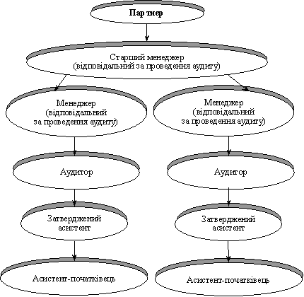 Structure of audit firms