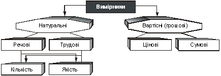 Вимірники, які засосовуться в бухгалтерському обліку