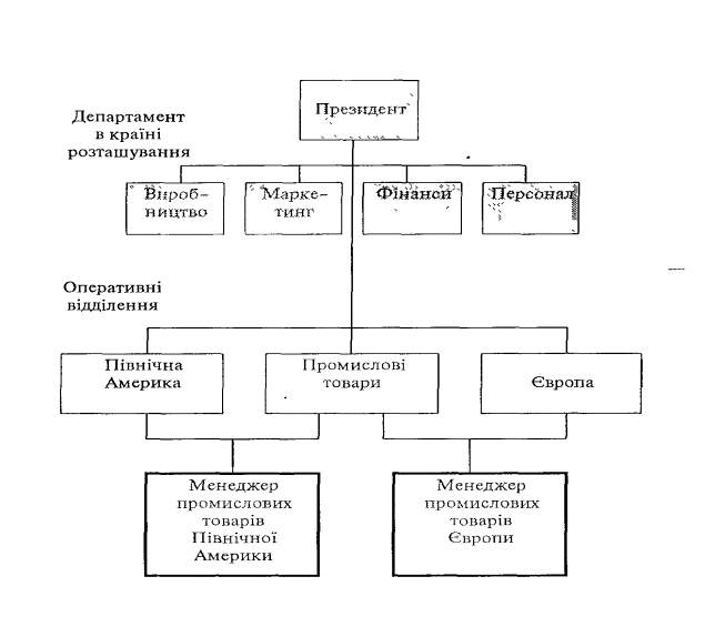 The multinational matrix structure