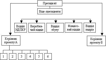 Project structure pobudovana for lіnіynoprogramnim principle: