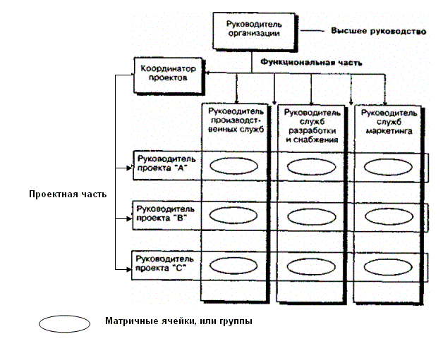 Schematic diagram of the matrix organization