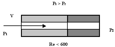 CURRENT LIQUID IN THIN DIELECTRIC CHANNELS