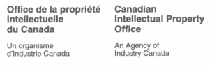 Canadian patent for pneumatic piston engine