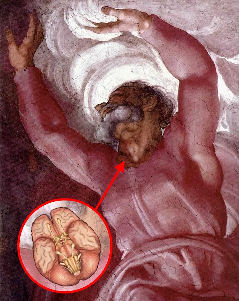Michelangelo's Anatomical Code - Mystical Mysteries Encrypted in World Famous Canvases Анатомический код Микеланджело - Мистические тайны известных полотен