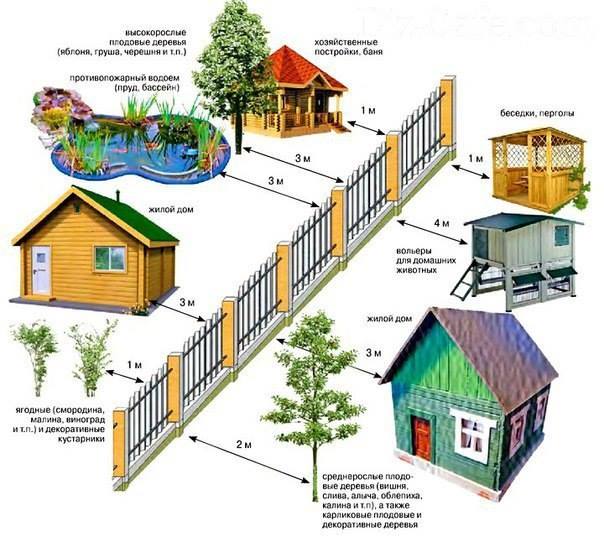 How many meters should it be before a neighbor's fence? Сколько метров должно быть до забора, если сосед строит новый дом, сажает деревья создает другие объекты?