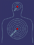 Killer Targets «Shoot Somethin Different» - interesting target for shooting