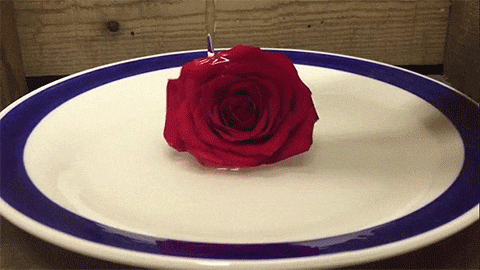 Rose in sulfuric acid - Destruction of objects in hyphae (12 hyphae) Роза в серной кислоте - Уничтожение предметов в гифках (12 гиф)