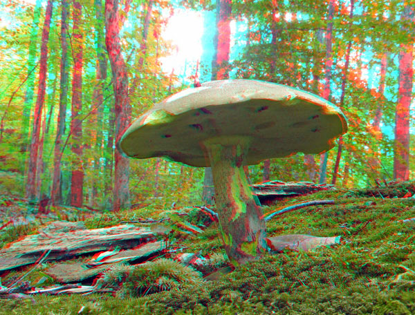 Three-dimensional picture