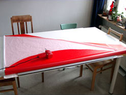 kite design
