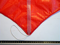 kite