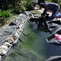 Pond manufacturing