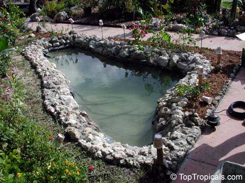Pond production