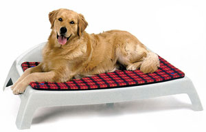 Bedding for dogs