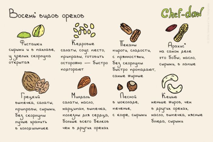 Восемь видов орехов - Кулинарные советы в картинках