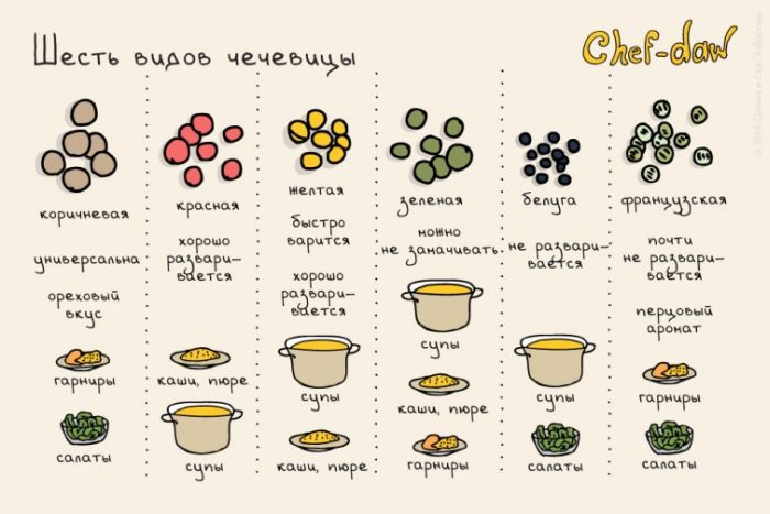 Шесть видов чечевицы - Кулинарные советы в картинках